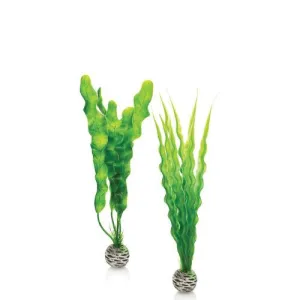 BiOrb Easy Plant Set Medium